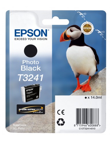 Epson T3241 Photo Black