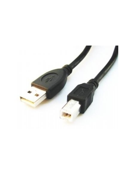 Gembird CCP-USB2-AMBM-6 cable USB 1,82 m USB A USB B Negro