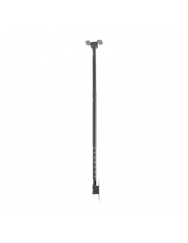 AISENS Soporte de techo giratorio, inclinable, extensible para monitor TV 50kg de 23”-43”, Negro