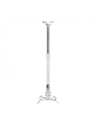 AISENS CWP01TSE-049 montaje para projector Pared techo Blanco