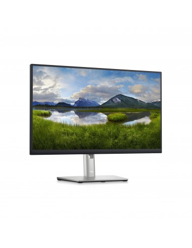 DELL P Series Monitor 24 con concentrador USB-C  P2423DE