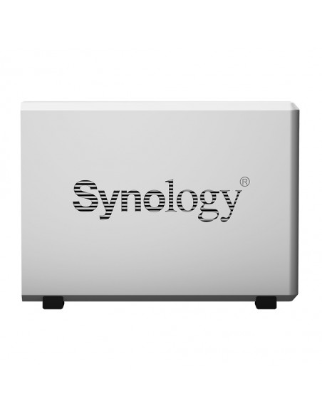 Synology DiskStation DS120j NAS Torre Ethernet Gris 88F3720