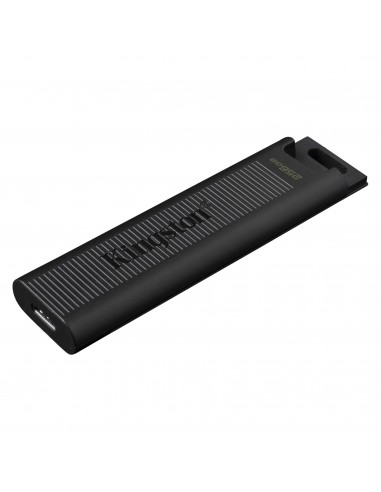 Kingston Technology DataTraveler Max unidad flash USB 256 GB USB Tipo C 3.2 Gen 2 (3.1 Gen 2) Negro