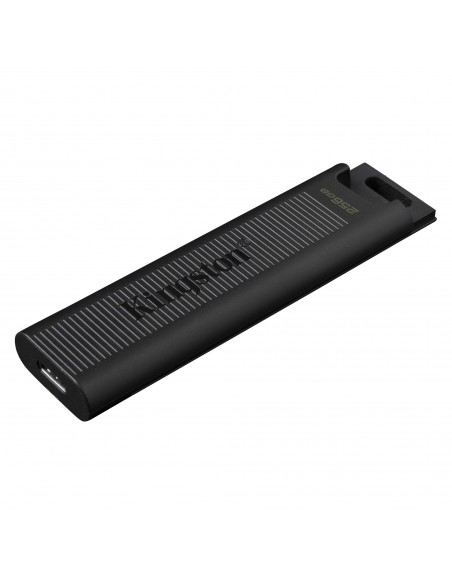 Kingston Technology DataTraveler Max unidad flash USB 256 GB USB Tipo C 3.2 Gen 2 (3.1 Gen 2) Negro