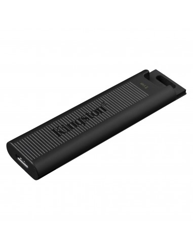Kingston Technology DataTraveler Max unidad flash USB 1 TB USB Tipo C Negro