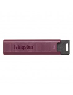 Kingston Technology DataTraveler Max unidad flash USB 1 TB USB tipo A 3.2 Gen 2 (3.1 Gen 2) Rojo 2