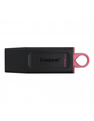Kingston Technology DataTraveler Exodia unidad flash USB 256 GB USB tipo A 3.2 Gen 1 (3.1 Gen 1) Negro