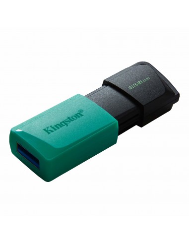 Kingston Technology DataTraveler Exodia M unidad flash USB 256 GB USB tipo A 3.2 Gen 1 (3.1 Gen 1) Negro, Turquesa