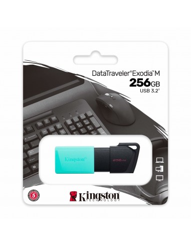 Kingston Technology DataTraveler Exodia M unidad flash USB 256 GB USB tipo A 3.2 Gen 1 (3.1 Gen 1) Negro, Turquesa