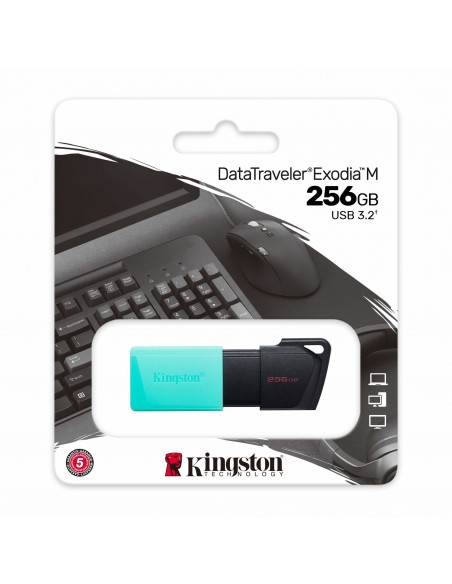 Kingston Technology DataTraveler Exodia M unidad flash USB 256 GB USB tipo A 3.2 Gen 1 (3.1 Gen 1) Negro, Turquesa