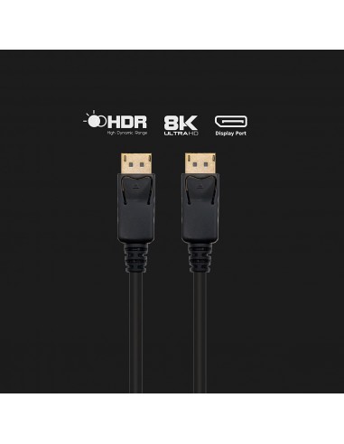 Ewent EC1407 cable DisplayPort 3 m Negro