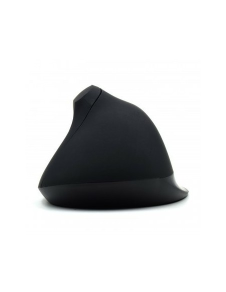 Ewent EW3157 ratón mano derecha USB tipo A Óptico 1800 DPI