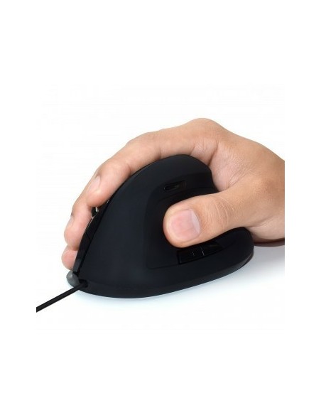 Ewent EW3157 ratón mano derecha USB tipo A Óptico 1800 DPI