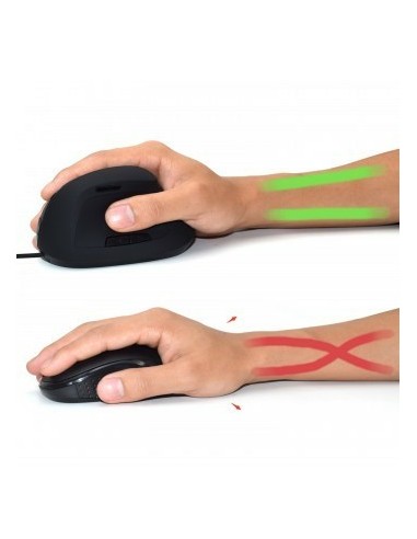 Ewent EW3157 ratón mano derecha USB tipo A Óptico 1800 DPI