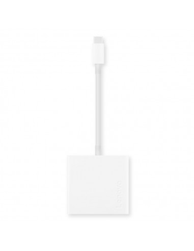 Lenovo GX90T33021 Adaptador gráfico USB Blanco