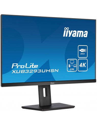 iiyama ProLite XUB3293UHSN-B5 pantalla para PC 80 cm (31.5") 3840 x 2160 Pixeles 4K Ultra HD LCD Negro