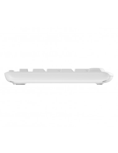 Logitech MK295 Silent Wireless Combo teclado Ratón incluido USB QWERTY Español Blanco