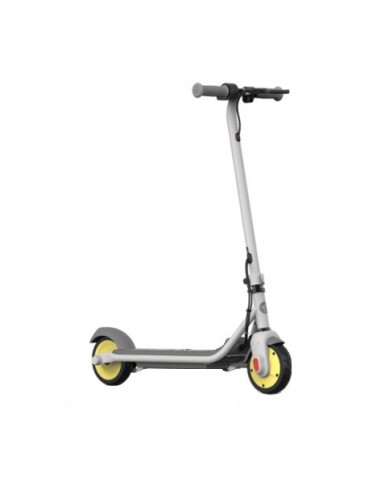 Ninebot by Segway ZING C8 patinete eléctrico 16 kmh Gris 2,5 Ah