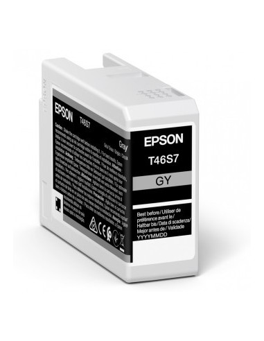 Epson UltraChrome Pro cartucho de tinta 1 pieza(s) Original Gris