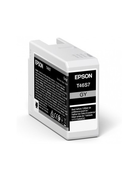 Epson UltraChrome Pro cartucho de tinta 1 pieza(s) Original Gris