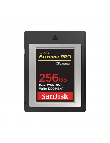 SanDisk SDCFE-256G-GN4NN memoria flash 256 GB CFexpress