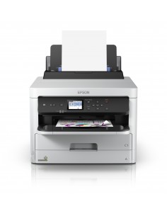 Epson DURABrite Pro 2