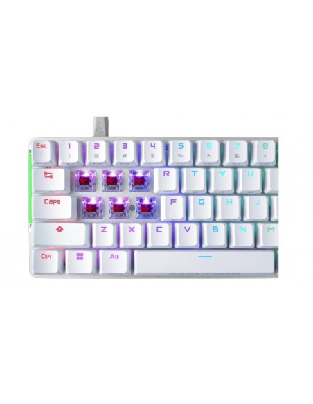 ASUS ROG Falchion Ace teclado USB QWERTY Inglés Blanco