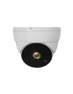 LevelOne ACS-5302 cámara de vigilancia Almohadilla Cámara de seguridad CCTV Interior y exterior Techo