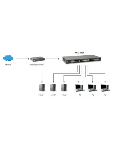 LevelOne FGU-5021 switch Fast Ethernet (10 100) Gris