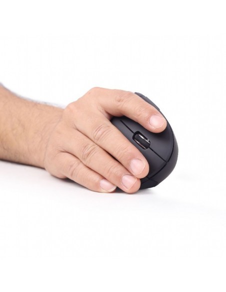 Gembird MUSW-ERGO-01 ratón mano derecha RF inalámbrico Óptico 1600 DPI Gembird MUSW-ERGO-01 ratón mano derecha RF inalámbrico Óptico 1600 DPI