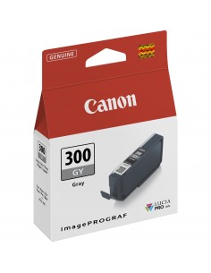 Canon 4200C001 cartucho de tinta 1 pieza(s) Original Gris