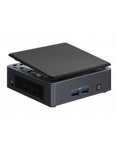 Intel NUC 11 Pro UCFF Negro i5-1135G7
