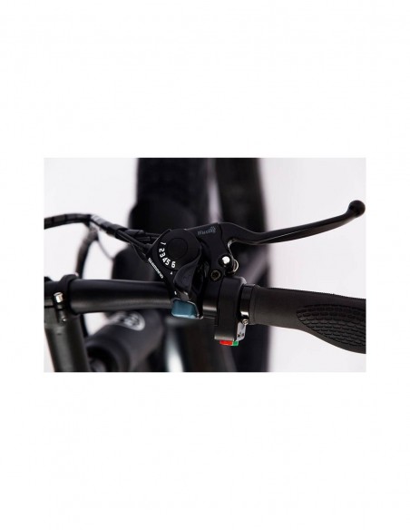Skateflash SK URBAN FAT bicicleta eléctrica Negro Acero 66 cm (26") 30 kg Litio
