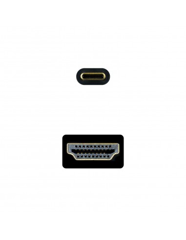 Nanocable Cable Conversor USB-C a HDMI 1.4 4K@30HZ 1.8 m, Negro