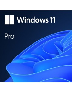 Microsoft Windows 11 Pro High-End 1 licencia(s)