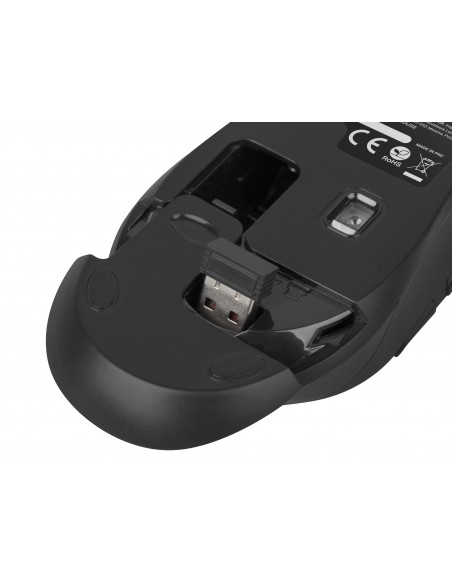 NATEC ROBIN ratón mano derecha RF inalámbrico Óptico 1600 DPI