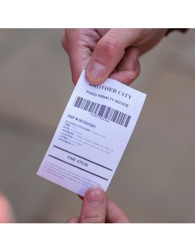 Brother BDE-1J000057-030 6,6 m