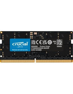 Crucial SORAM D5 5600 24GB CL46 - 24 GB módulo de memoria 1 x 24 GB DDR5 5600 MHz ECC