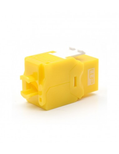 WP WPC-KEY-6AUP-TL Y módulo de conector de red