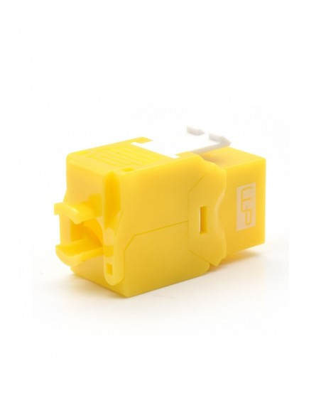 WP WPC-KEY-6AUP-TL Y módulo de conector de red