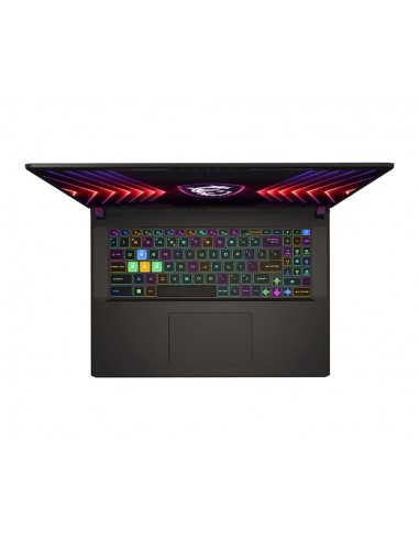 MSI Vector 17 HX A14V Portátil 43,2 cm (17") Quad HD+ Intel® Core™ i9 i9-14900HX 32 GB DDR5-SDRAM 1 TB SSD NVIDIA GeForce RTX