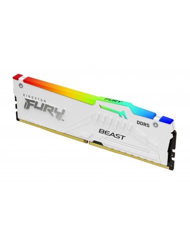 Kingston Technology FURY Beast RGB módulo de memoria 16 GB 1 x 16 GB DDR5 ECC