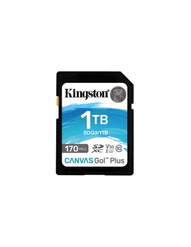 Kingston Technology Canvas Go! Plus 1 TB SD UHS-I Clase 10