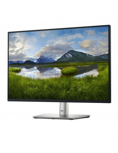 DELL P Series P2425E pantalla para PC 61,1 cm (24.1") 1920 x 1200 Pixeles WUXGA LCD Negro