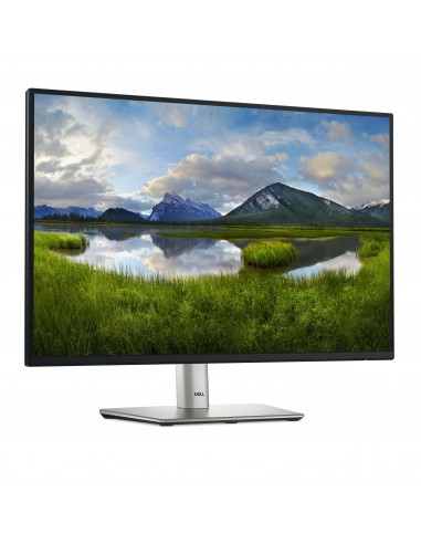 DELL P Series P2425E pantalla para PC 61,1 cm (24.1") 1920 x 1200 Pixeles WUXGA LCD Negro