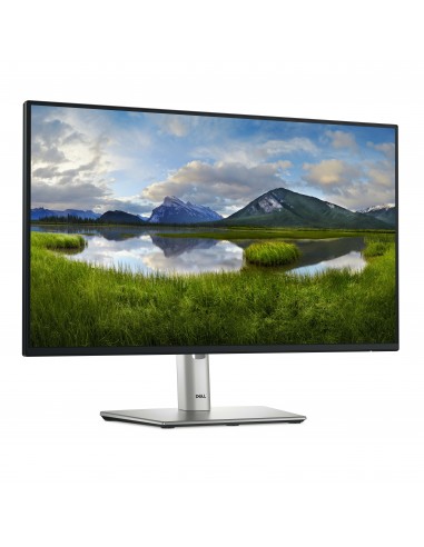 DELL P Series P2425HE pantalla para PC 61 cm (24") 1920 x 1080 Pixeles Full HD LCD Negro