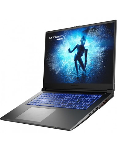 ERAZER Defender P40 Intel® Core™ i7 i7-13700HX Portátil 43,9 cm (17.3") Quad HD 16 GB DDR5-SDRAM 1 TB SSD NVIDIA GeForce RTX