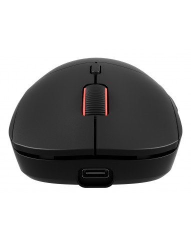 GENESIS Zircon XIII ratón Juego Ambidextro RF Wireless + USB Type-C Óptico 26000 DPI