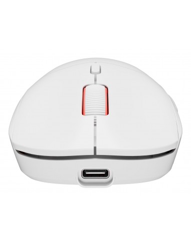 GENESIS Zircon XIII ratón Juego Ambidextro RF Wireless + USB Type-C Óptico 26000 DPI