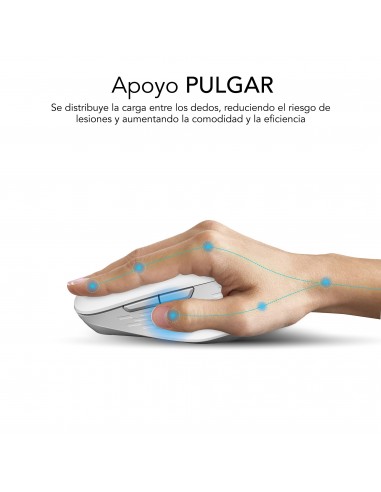 SUBBLIM Ratón CURVE ERGO DUAL MOUSE BATTERY WHITE